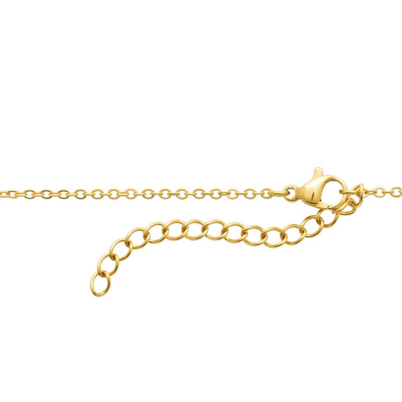 Coque de Nacre Collier acier doré 312329