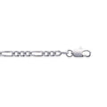 Coque de Nacre Chaîne maille figaro argent 733100