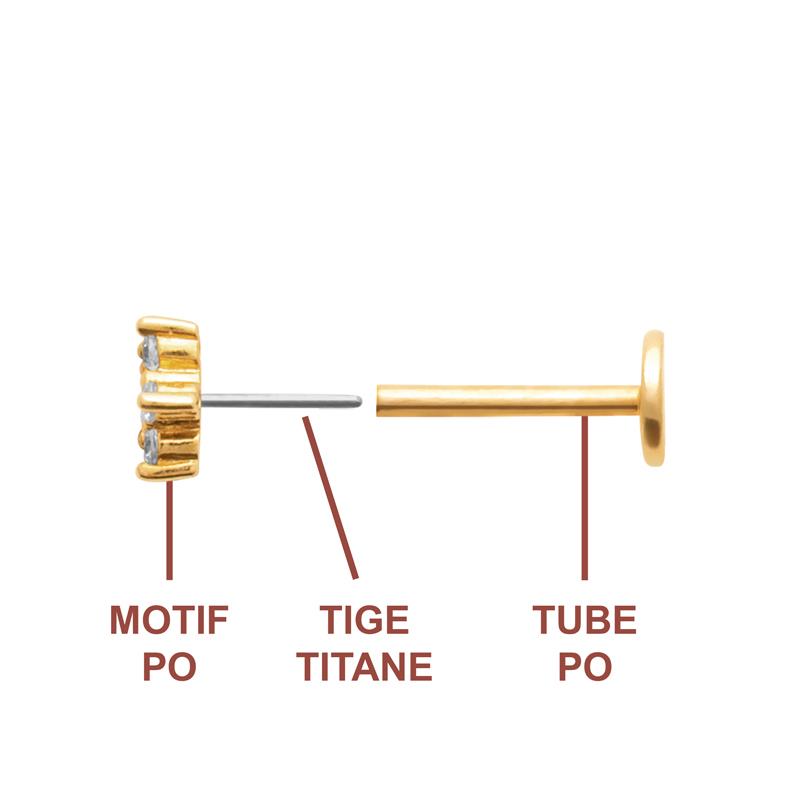 Coque de Nacre Piercing plaqué or 23067410