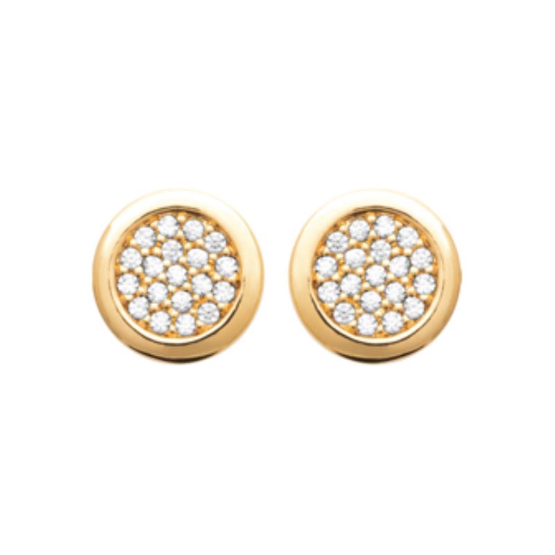 Coque de Nacre Puces d'oreilles plaqué or 2572410
