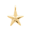 Coque de Nacre Pendentif plaqué or 2773800