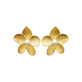 Coque de Nacre Boucles d'oreilles acier doré 3130809