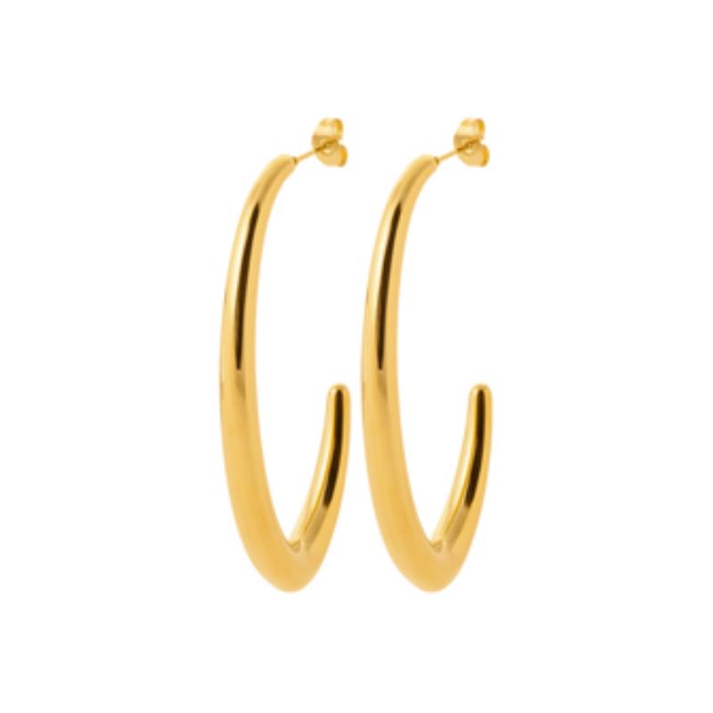 Coque de Nacre Boucles d'oreilles pendantes acier doré 3123509