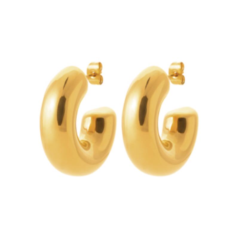 Coque de Nacre Créoles acier doré 3601209