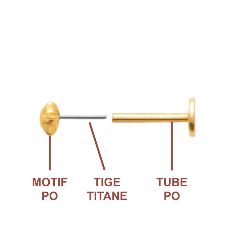 Coque de Nacre Piercing plaqué or 23074400