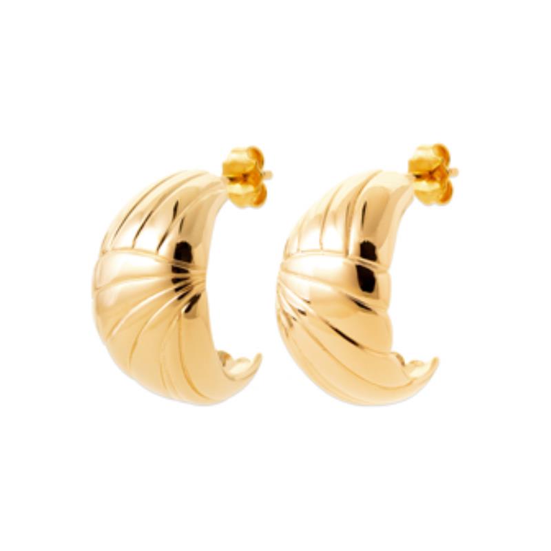 Coque de Nacre Boucles d'oreilles plaqué or 23073500