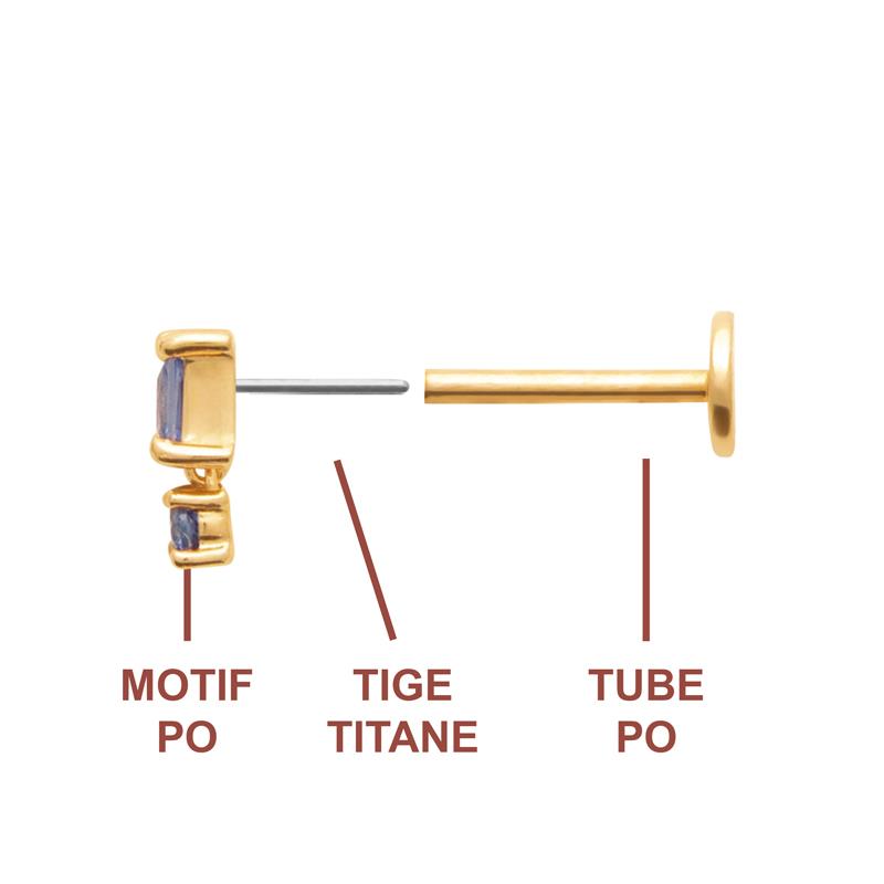 Coque de Nacre Piercing plaqué or 23074540