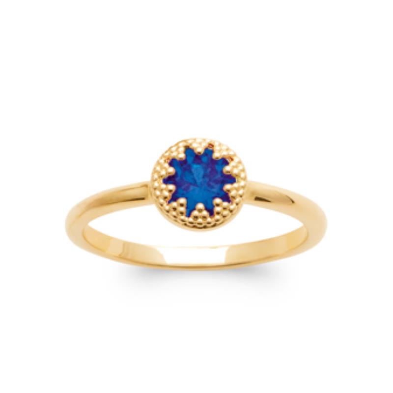 Coque de Nacre Bague plaqué or 2999240