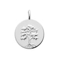 Coque de Nacre Médaille argent 7774600