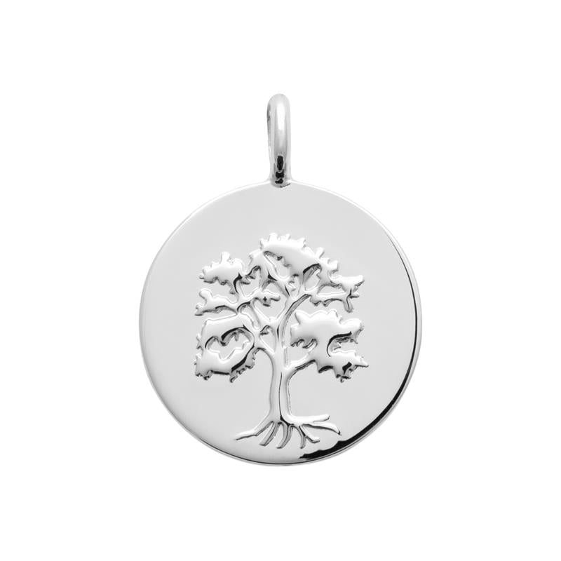 Coque de Nacre Médaille argent 7774600