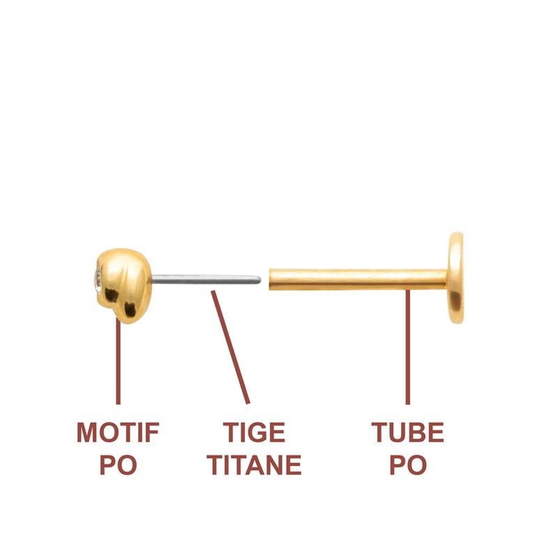 Coque de Nacre Piercing plaqué or 23074010