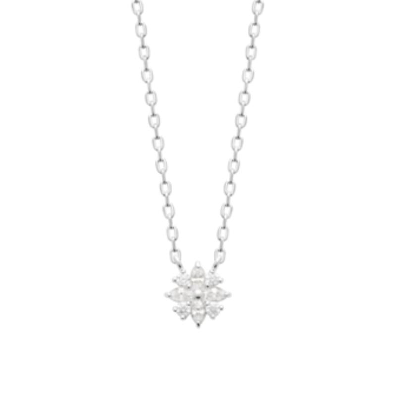 Coque de Nacre Chaîne argent 873972