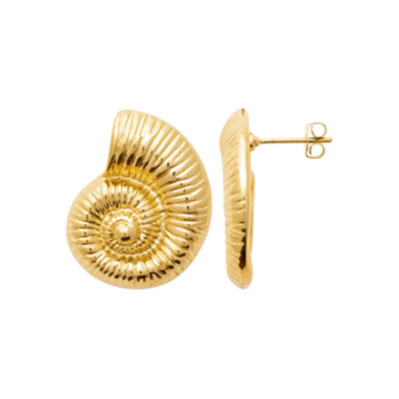 Coque de Nacre Puces d'oreilles acier doré 3125009