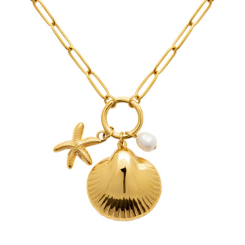 Coque de Nacre Collier acier doré 312277