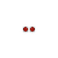 Coque de Nacre Boucles d'oreilles 34702