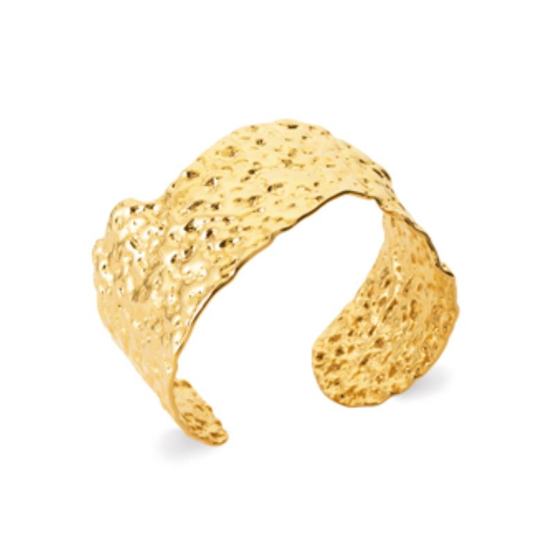 Coque de Nacre Bracelet jonc acier doré 312224