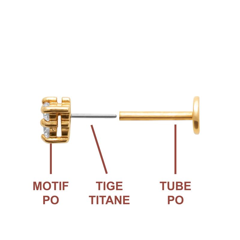 Coque de Nacre Piercing plaqué or 23068010