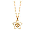 Coque de Nacre Collier plaqué or 922249