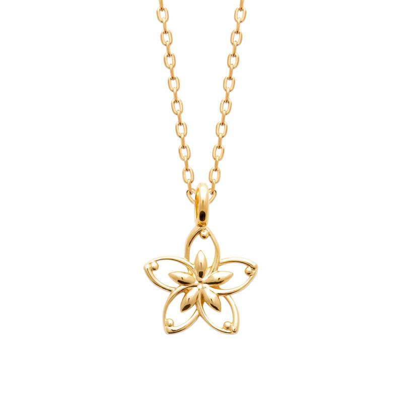 Coque de Nacre Collier plaqué or 922249