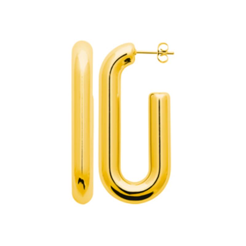 Izee Boucles d'oreilles acier doré 3116209