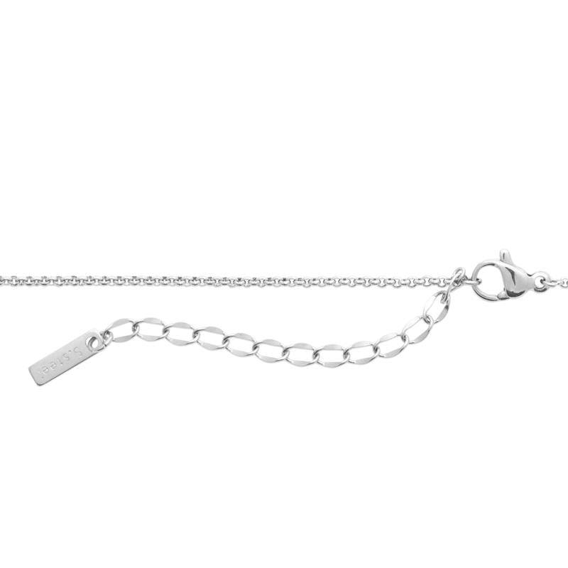 Coque de Nacre Collier acier 312310