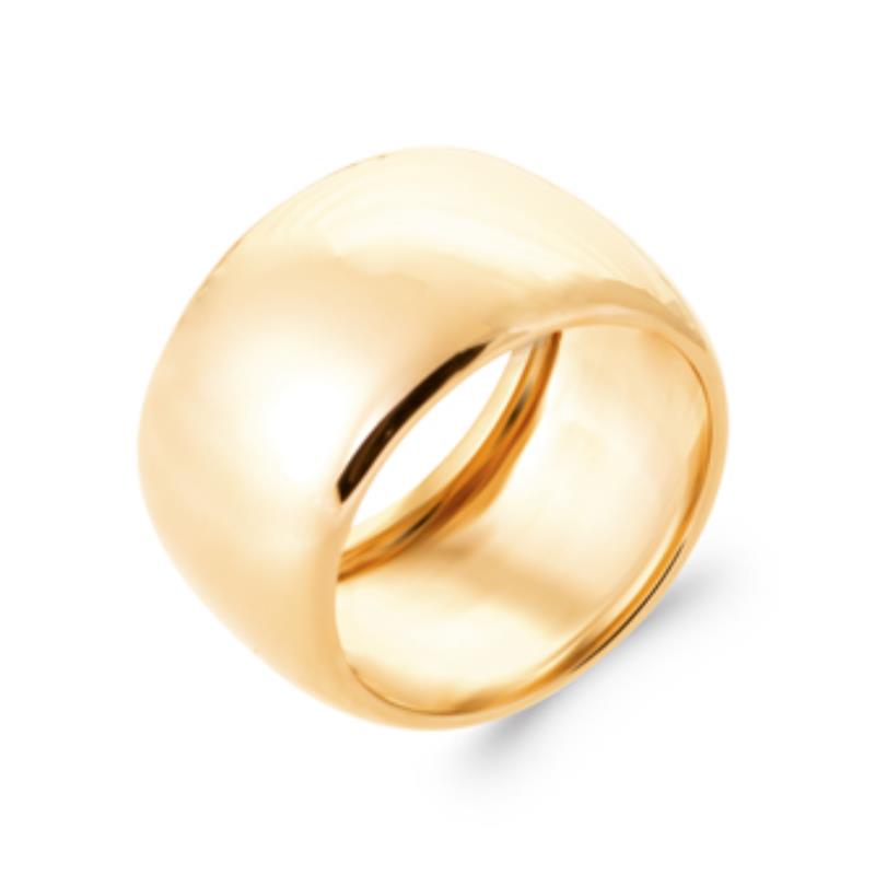 Coque de Nacre Bague plaqué or 2975100