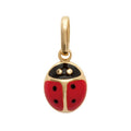 Coque de Nacre Pendentif plaqué or 2413057