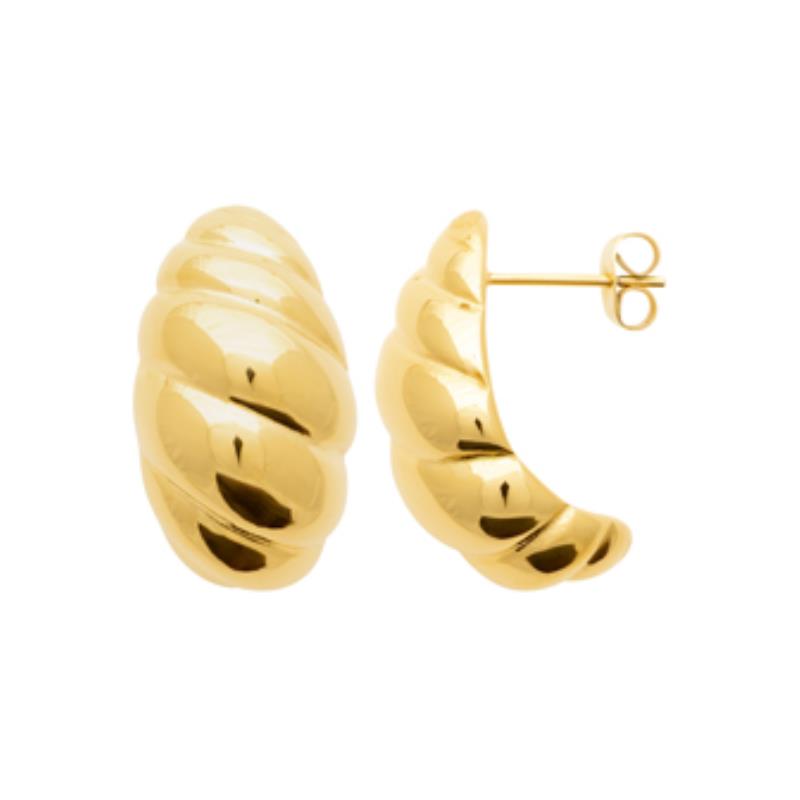 Coque de Nacre Boucles d'oreilles acier doré 3123909