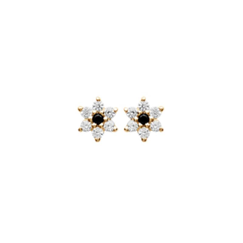 Coque de Nacre Puces d'oreilles plaqué or 2529407