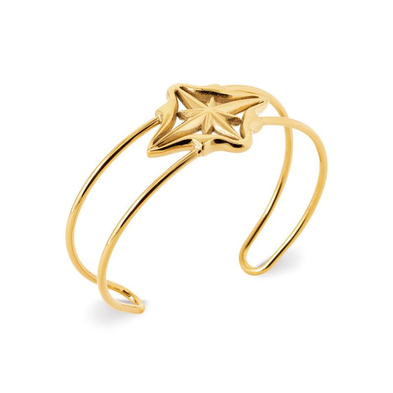Coque de Nacre Bracelet jonc acier doré 312375
