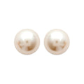 Coque de Nacre Boucles d'oreilles plaqué or 252605