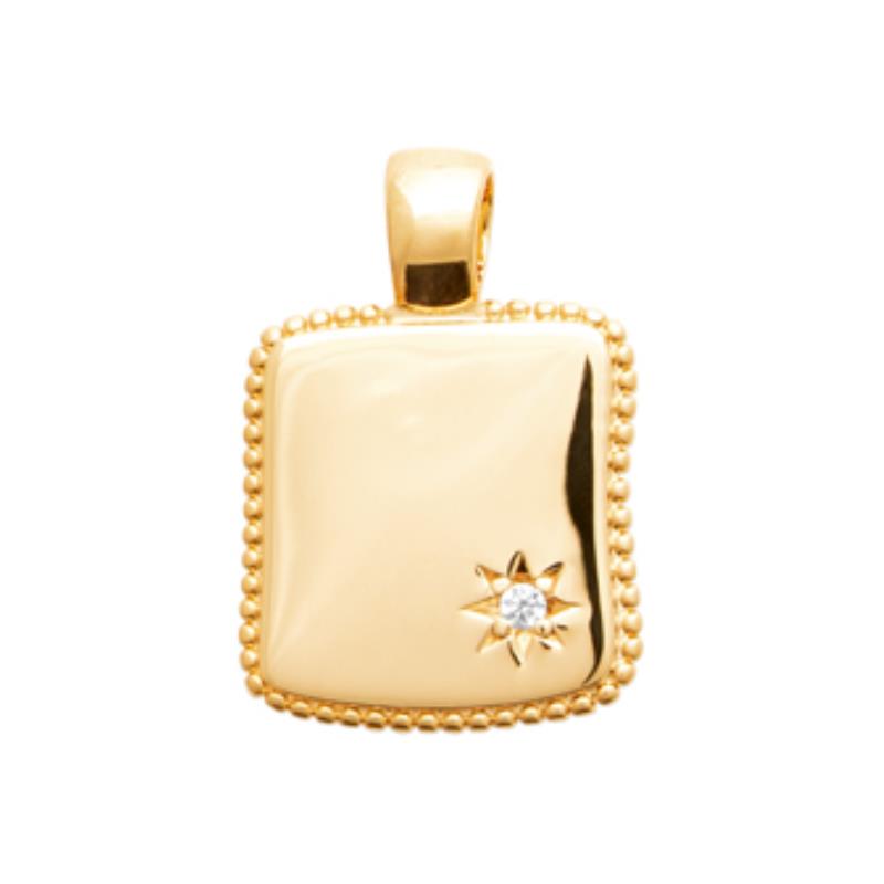 Coque de Nacre Médaille plaqué or 2782610