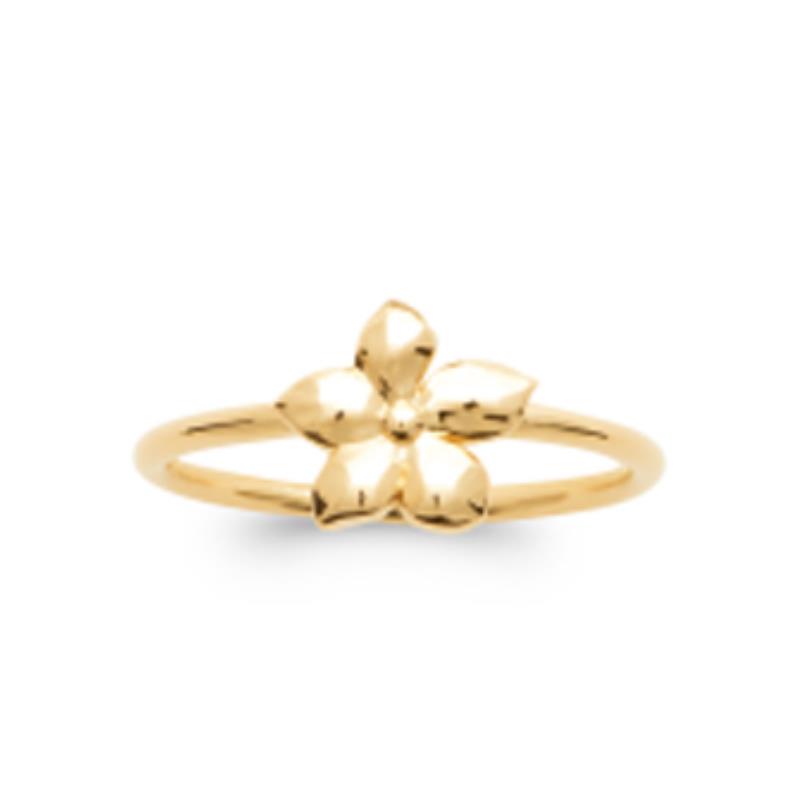 Coque de Nacre Bague plaqué or 2976800