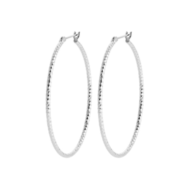 Coque de Nacre Créoles argent 7622540