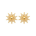 Coque de Nacre Puces d'oreilles plaqué or 23055100