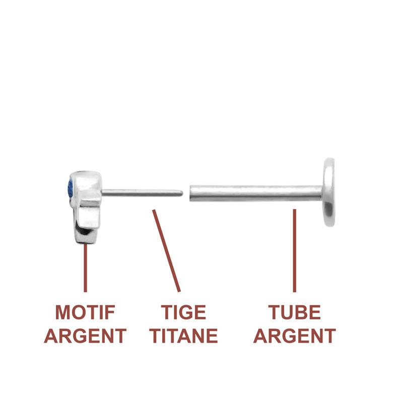 Coque de Nacre Piercing argent 13074640
