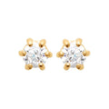 Coque de Nacre Boucles d'oreilles plaqué or 202153631