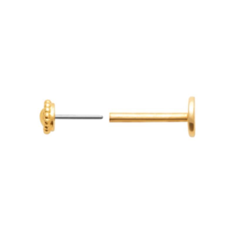 Coque de Nacre Piercing plaqué or 23073700