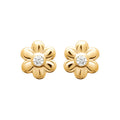 Coque de Nacre Puces d'oreilles plaqué or 23078310