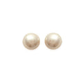 Coque de Nacre Boucles d'oreilles 39138