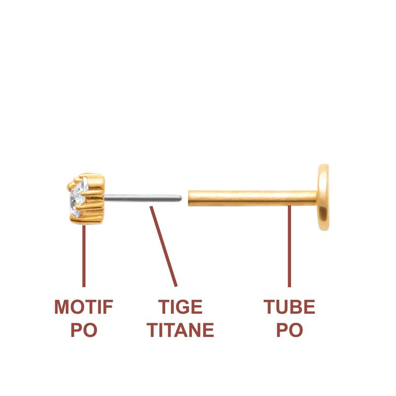 Coque de Nacre Piercing plaqué or 23074710