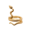 Coque de Nacre Bague d'oreille plaqué or 23001600