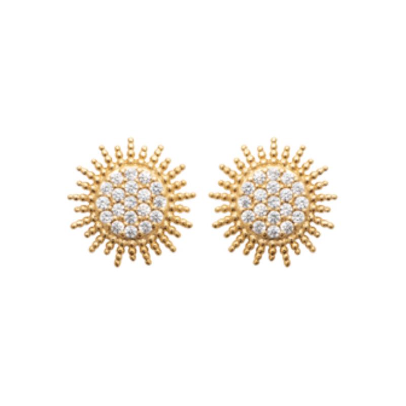 Coque de Nacre Puces d'oreilles plaqué or 2570310