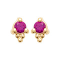Coque de Nacre Puces d'oreilles plaqué or 23021720