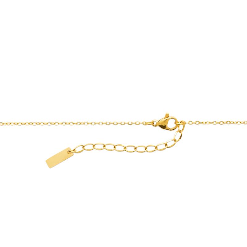 Coque de Nacre Collier acier doré 312300