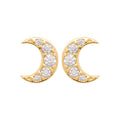 Coque de Nacre Puces d'oreilles plaqué or 23018310