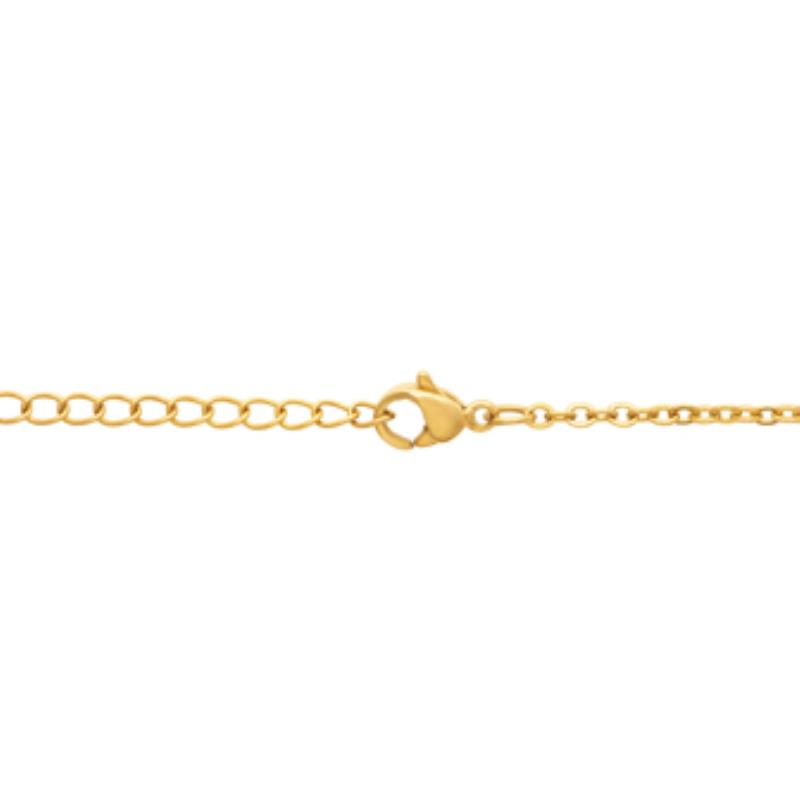 Coque de Nacre Collier acier doré 312390