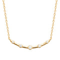 Coque de Nacre Collier plaqué or 974166