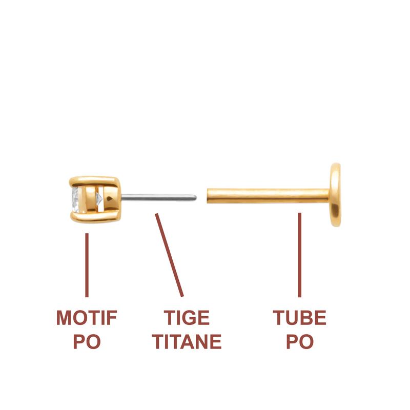 Coque de Nacre Piercing plaqué or 23066310
