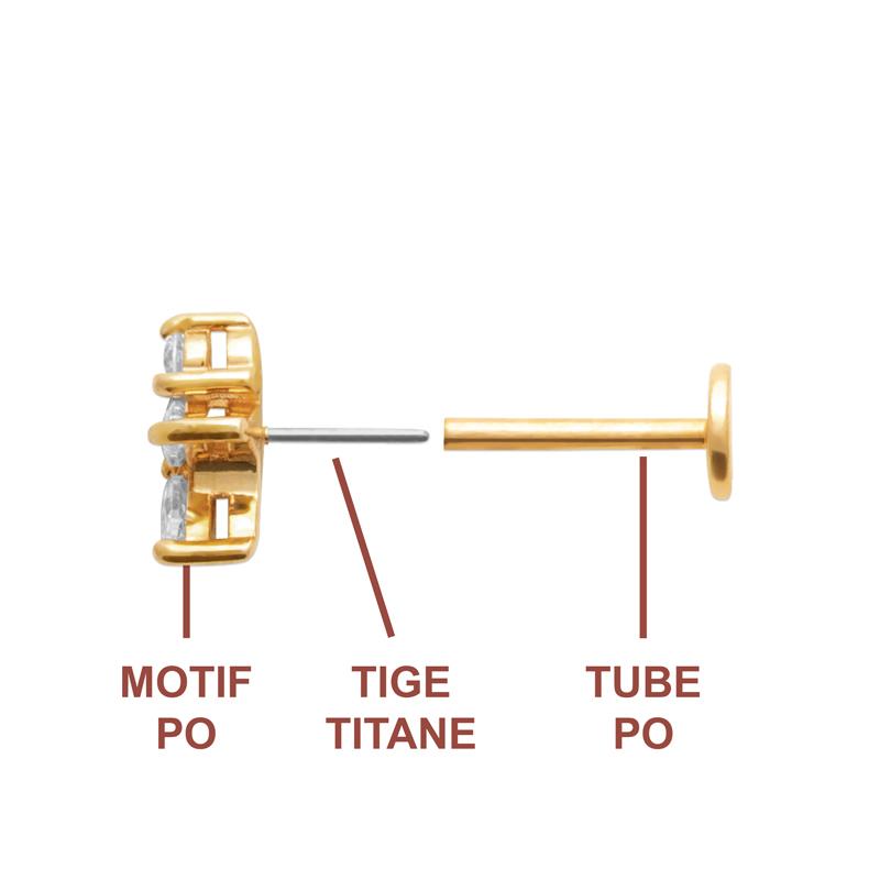 Coque de Nacre Piercing plaqué or 23068510